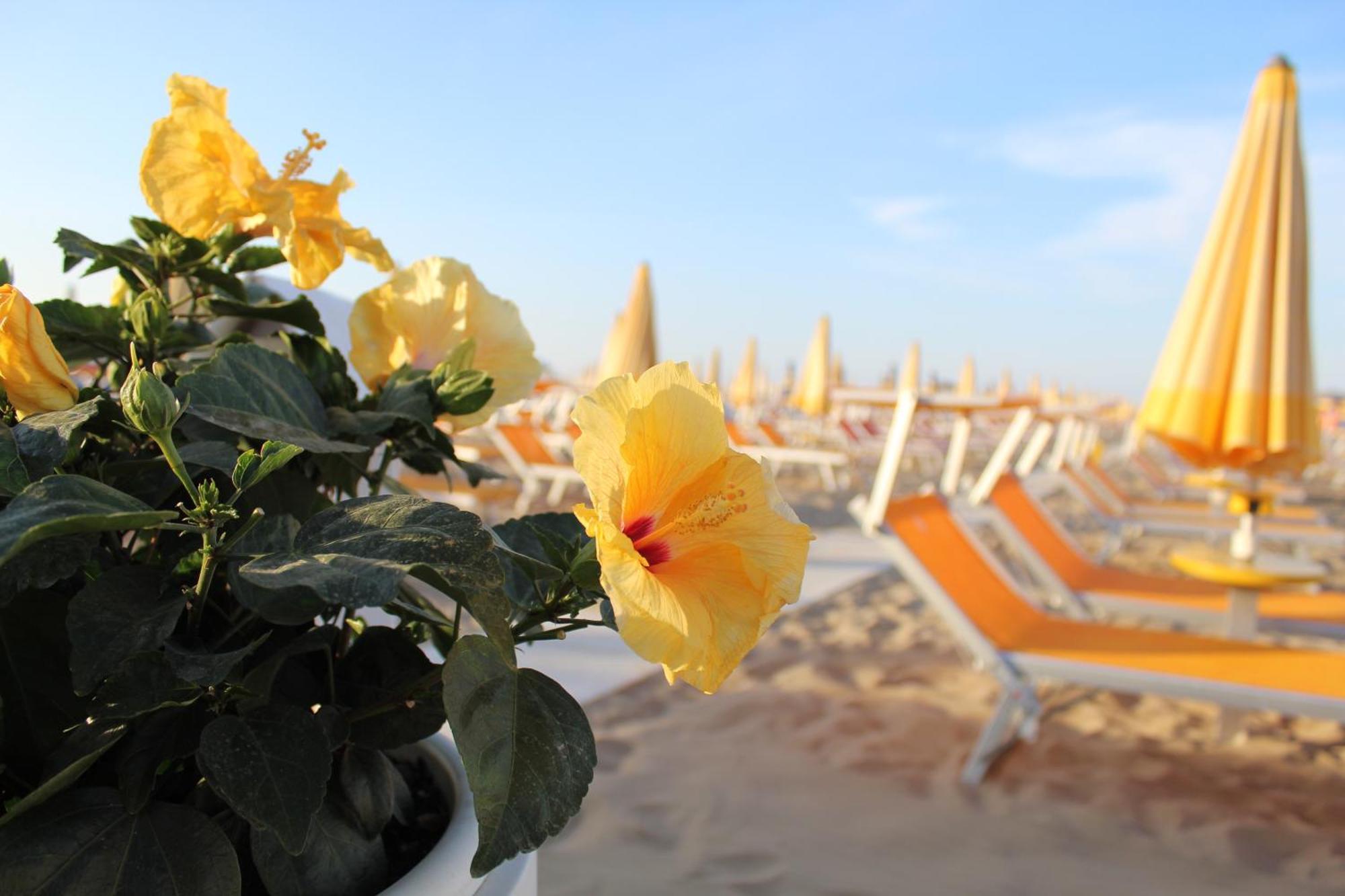 Hotel Villa Lieta Rimini Bagian luar foto